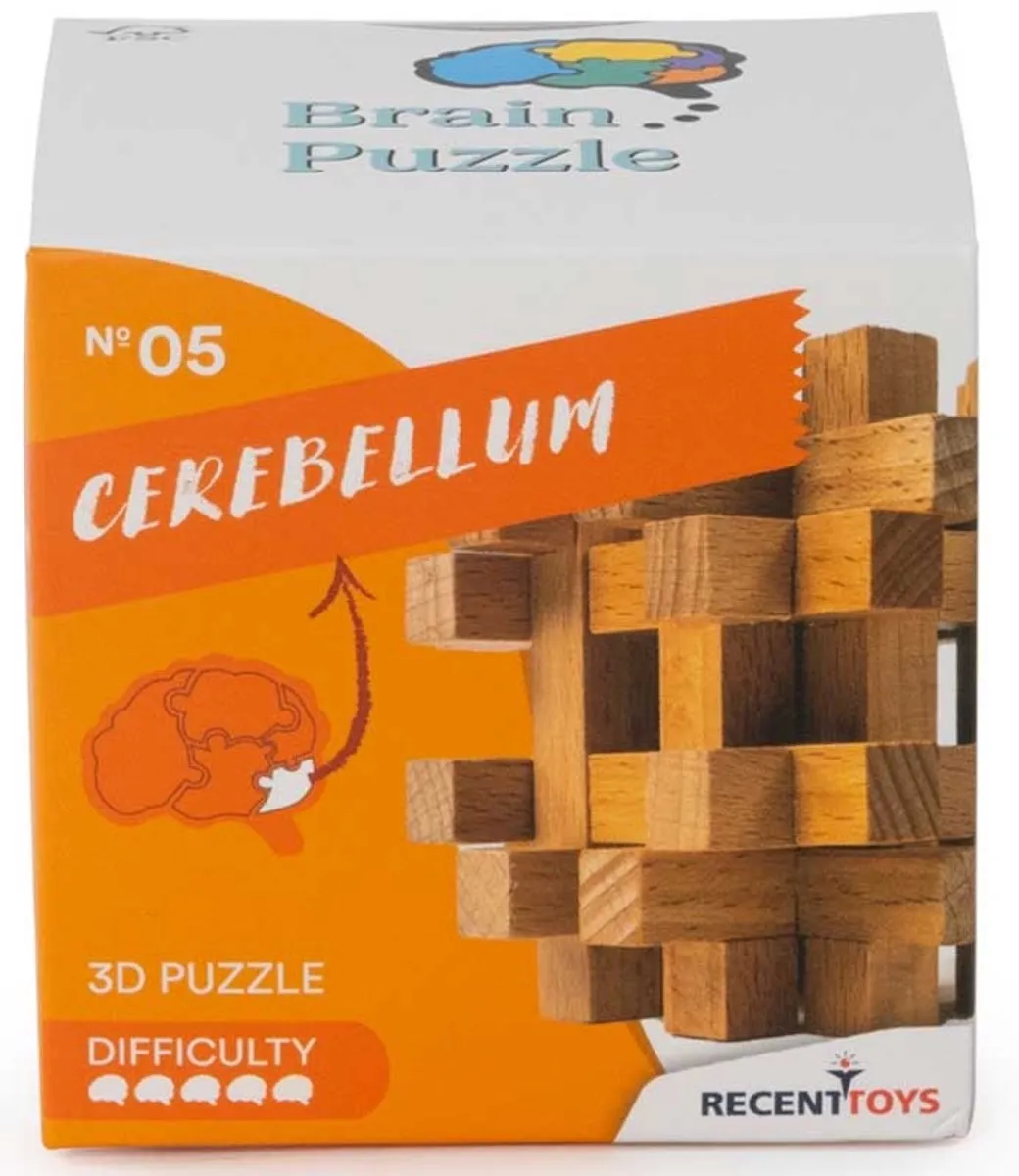 Recent Toys Brain Puzzle 5 Houten Breinbreker - 791143