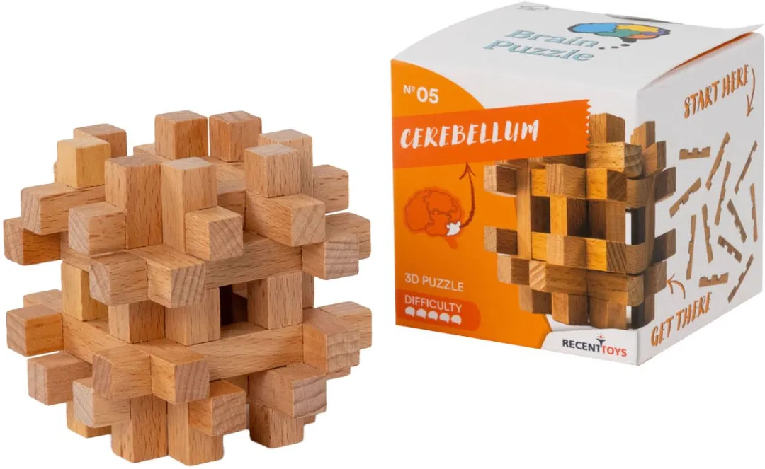 Recent Toys Brain Puzzle 5 Houten Breinbreker