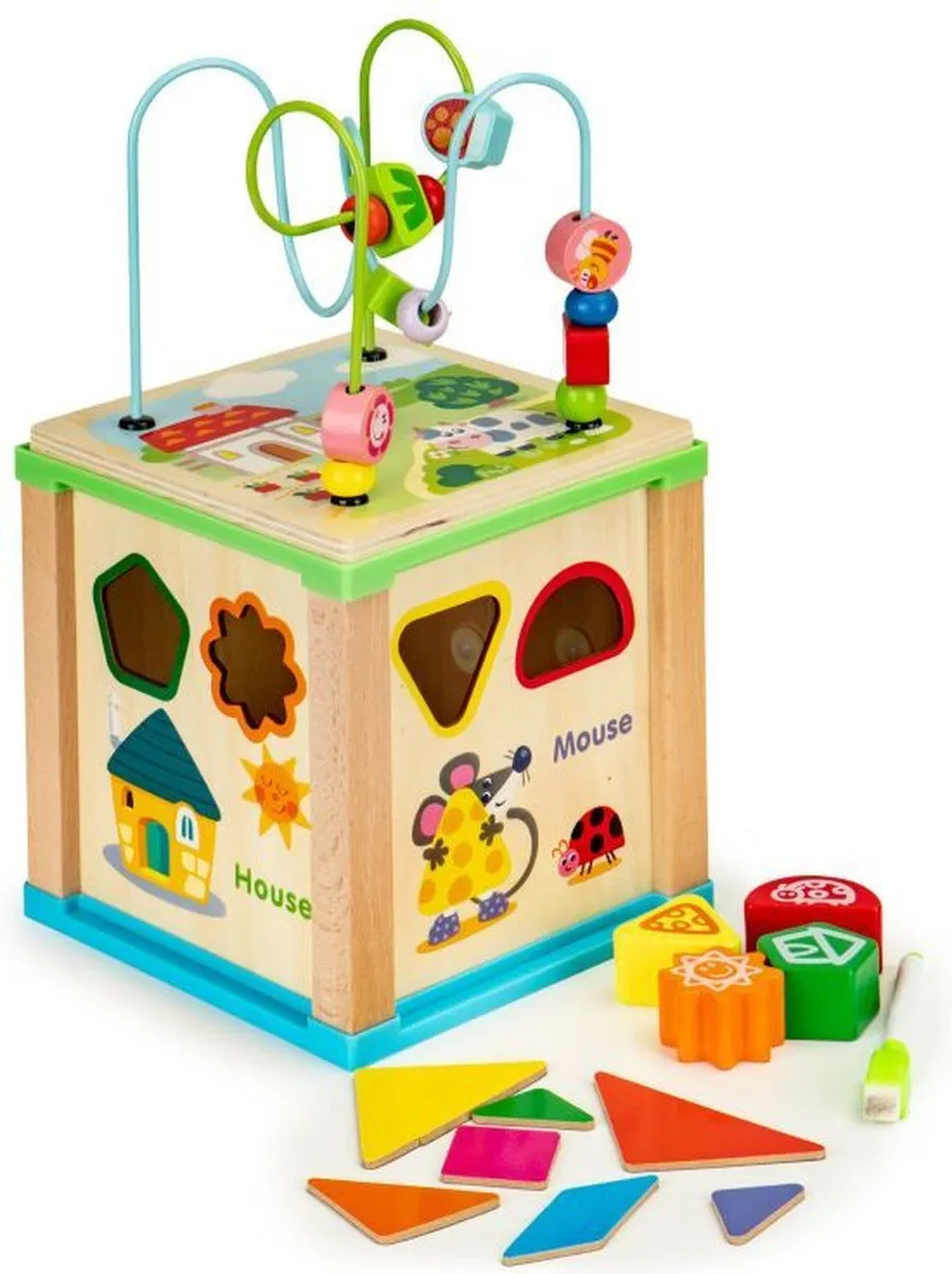 ECOTOYS Houten Educatieve Kubus