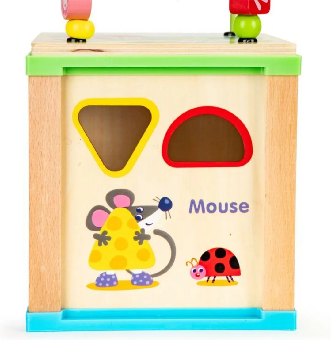 ECOTOYS Houten Educatieve Kubus - 18x18x33cm - Bruin