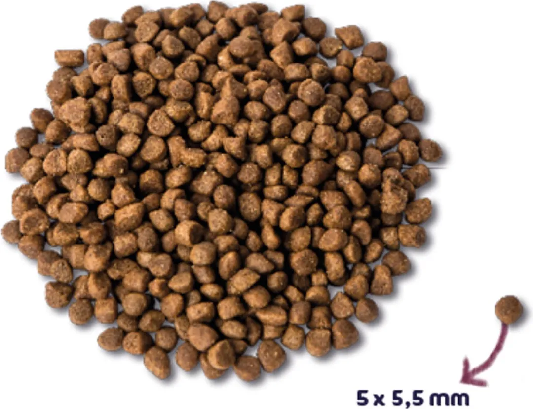 Renske Super Premium Kitten Kalkoen & Kip 6kg - 2 Stuks
