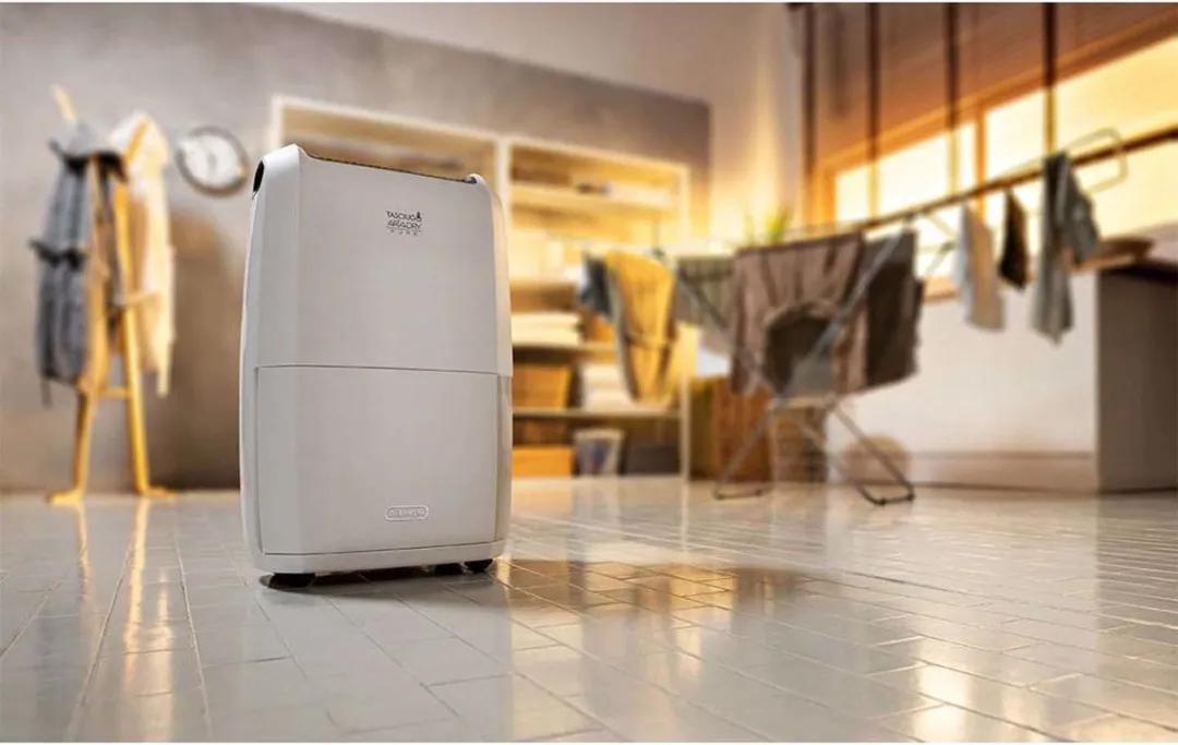 De’Longhi DDSX220WFA Luchtontvochtiger 90m² - Lichtgrijs
