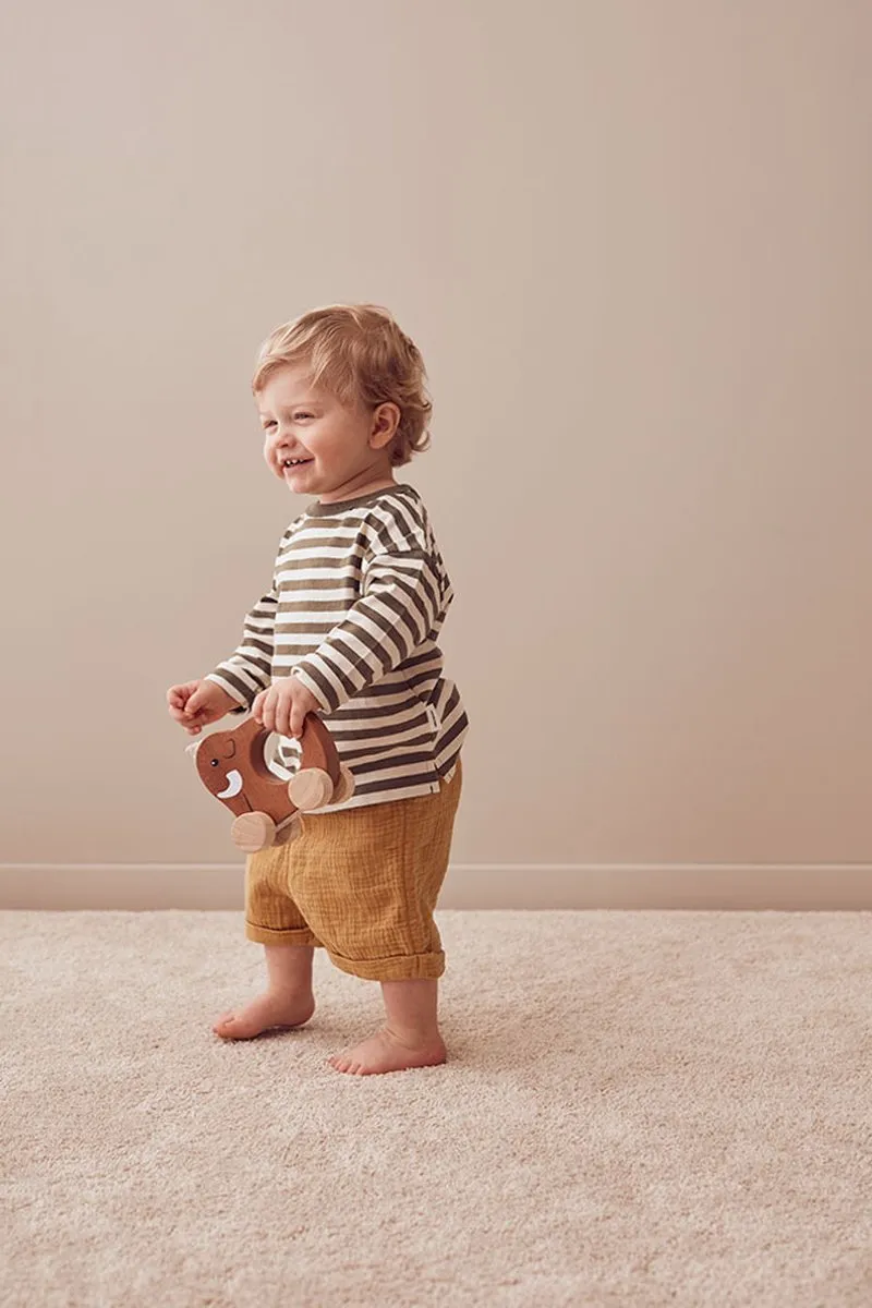 Kids Concept Mammoet Push Toy - Multikleur