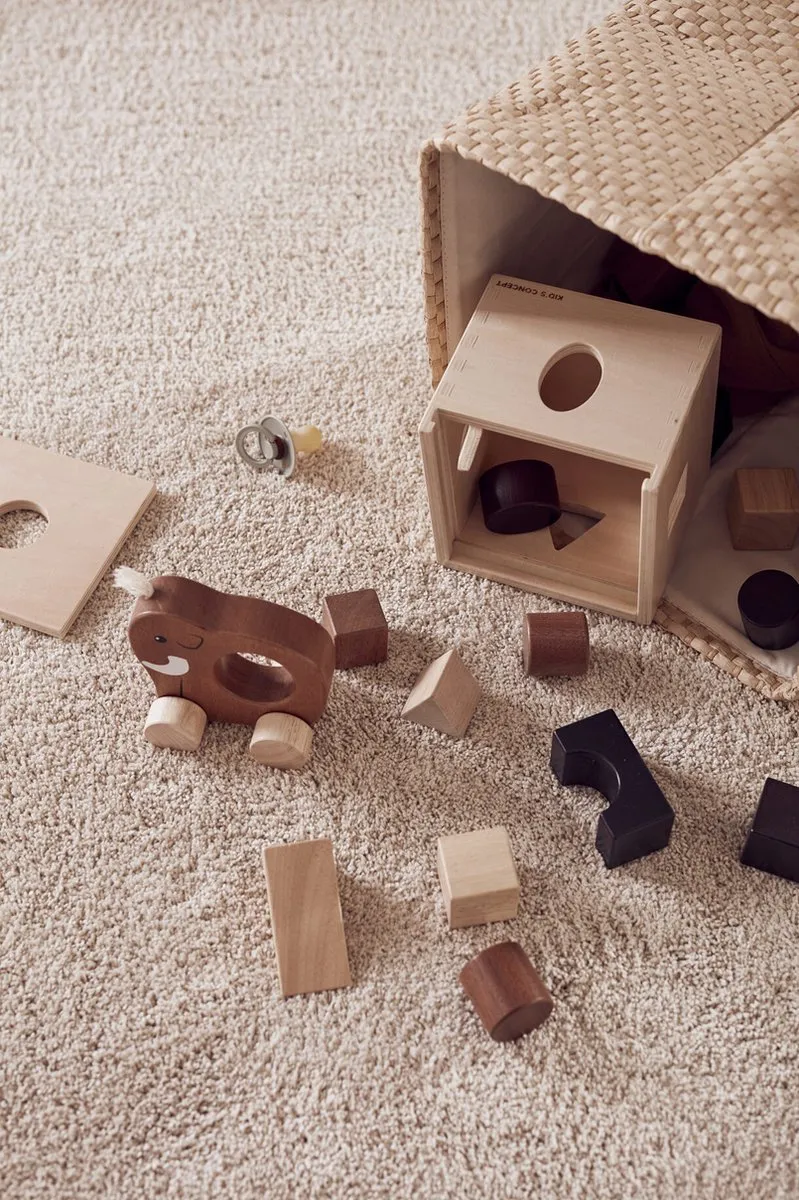 Kids Concept Mammoet Push Toy - Multikleur