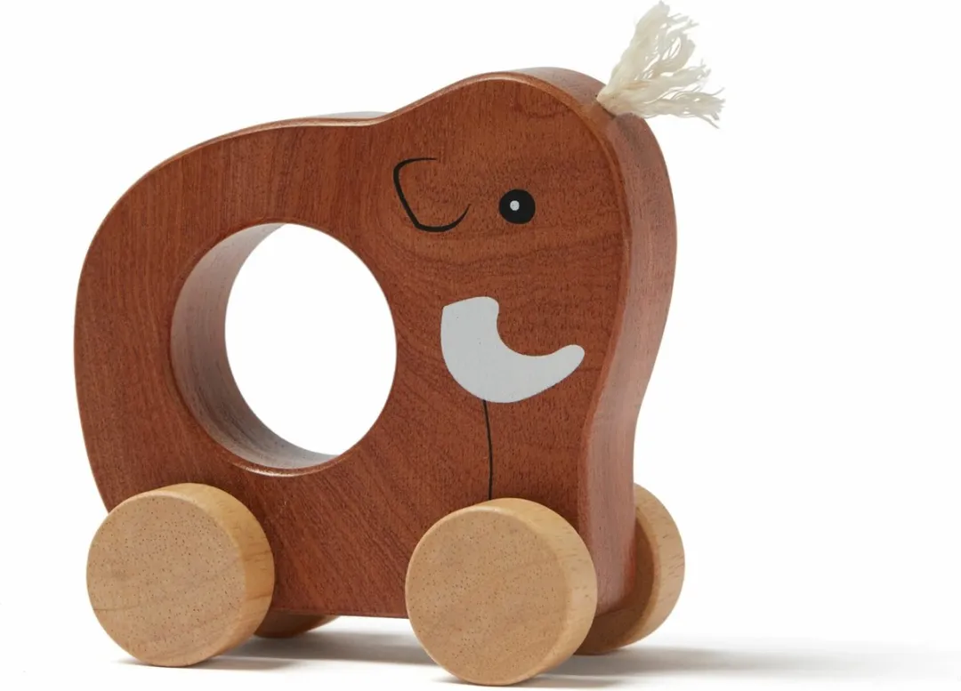 Kids Concept Mammoet Push Toy - Multikleur