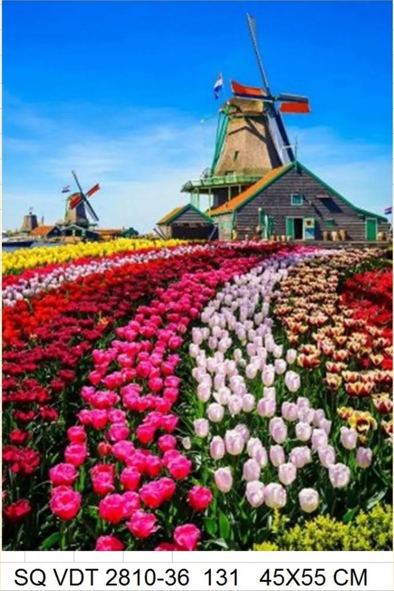 VDTOYS Diamond Painting VDTB131 Keukenhof - 45x55cm - Groot formaat