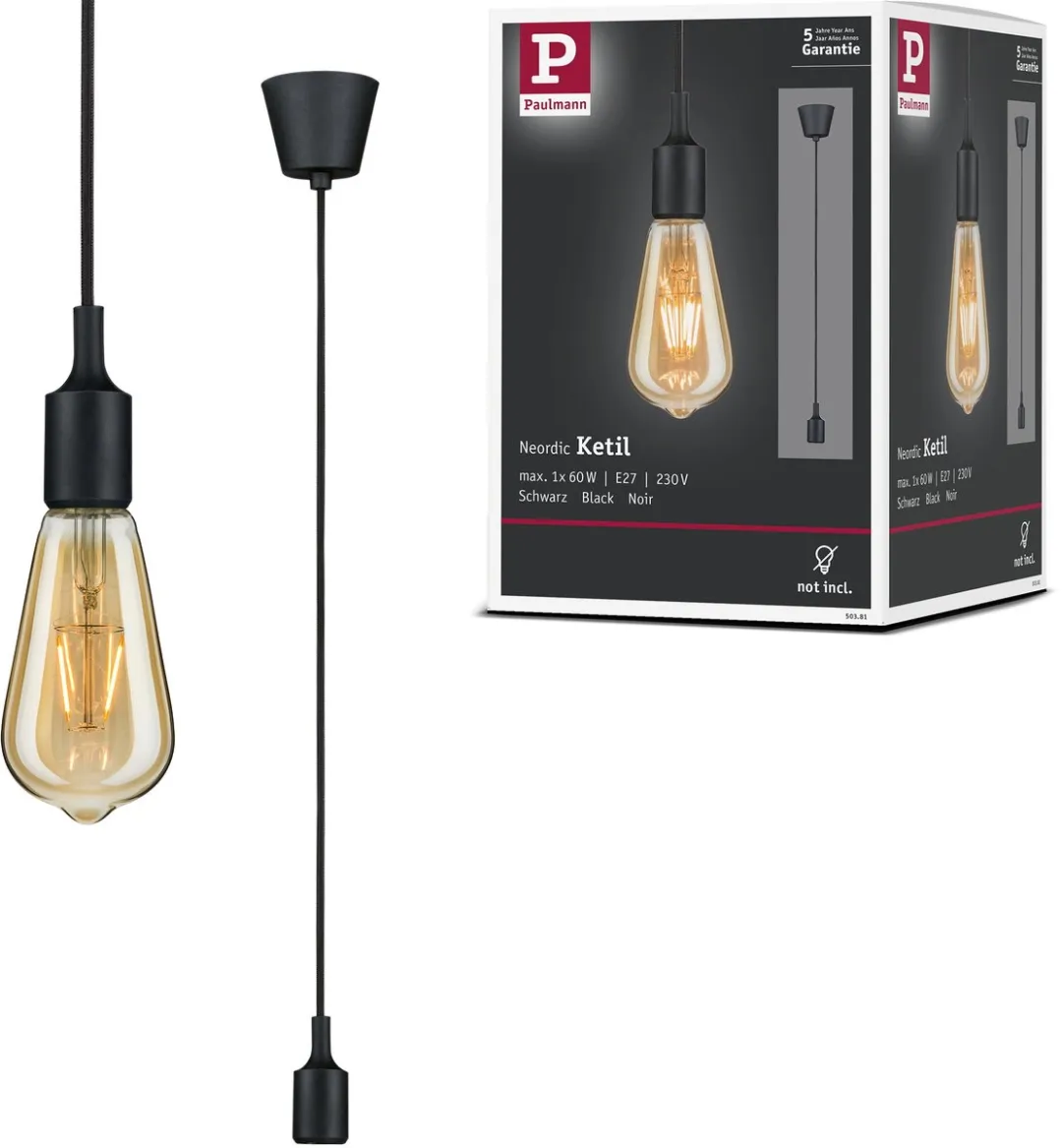 Paulmann Neordic Hanglamp Ketil E27 60W