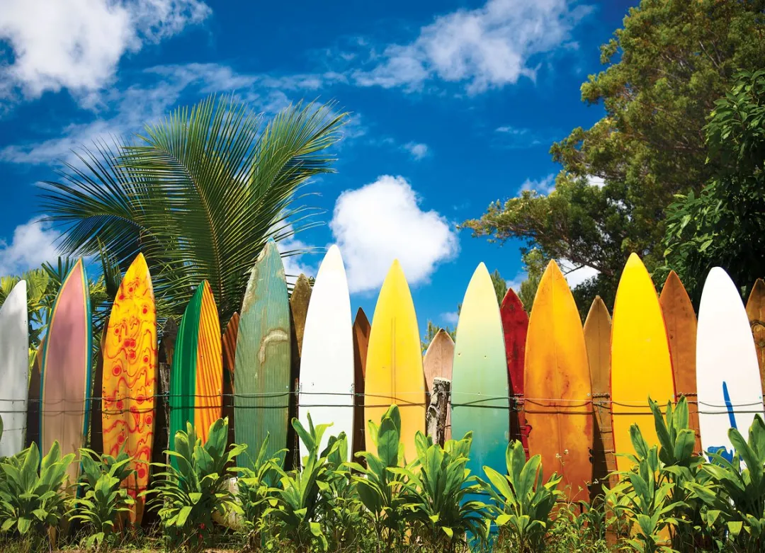 Eurographics Surfer's Paradise Hawaii Puzzel 1000 Stuks - Meerkleurig