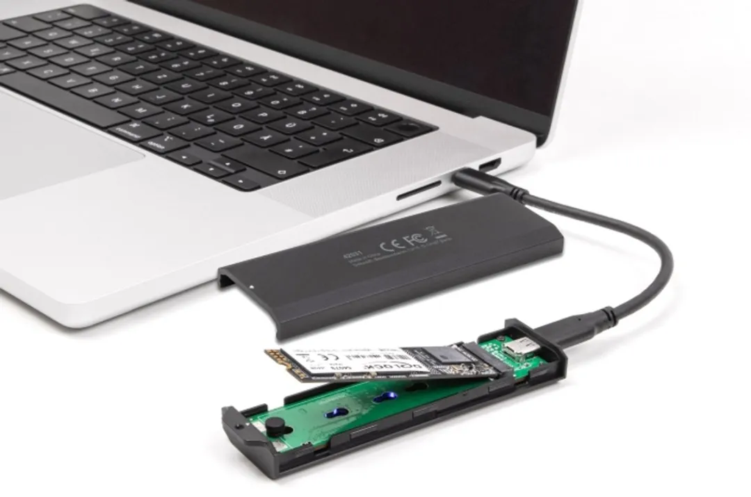 Delock 42031 USB-C NVMe/SATA Behuizing - 20 Gbps - Zwart