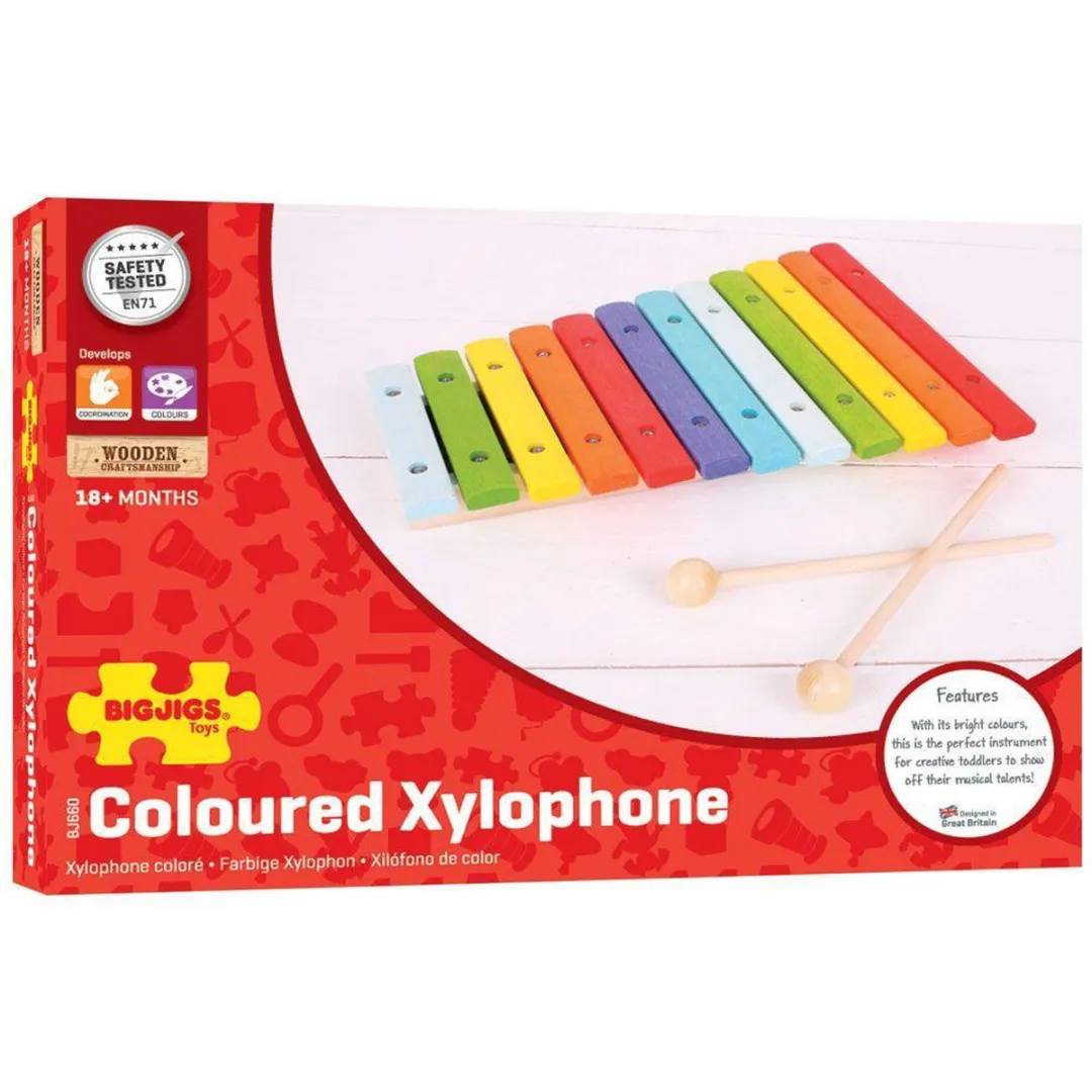 BIGJIGS Snazzy Xylofoon - Multi