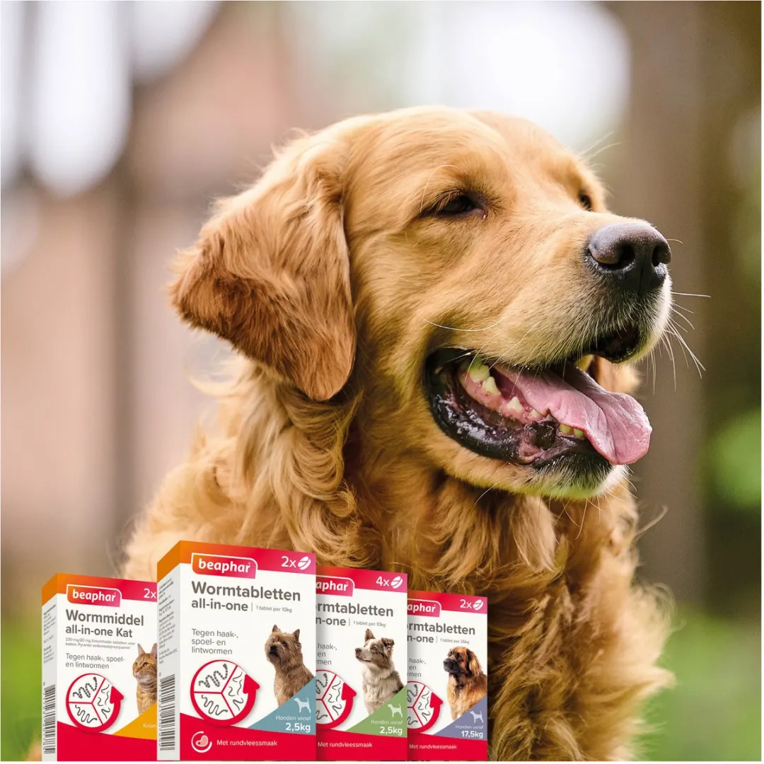 Beaphar All In One Ontwormingsmiddel - Hond 2.5-40 kg - 4 Tabletten