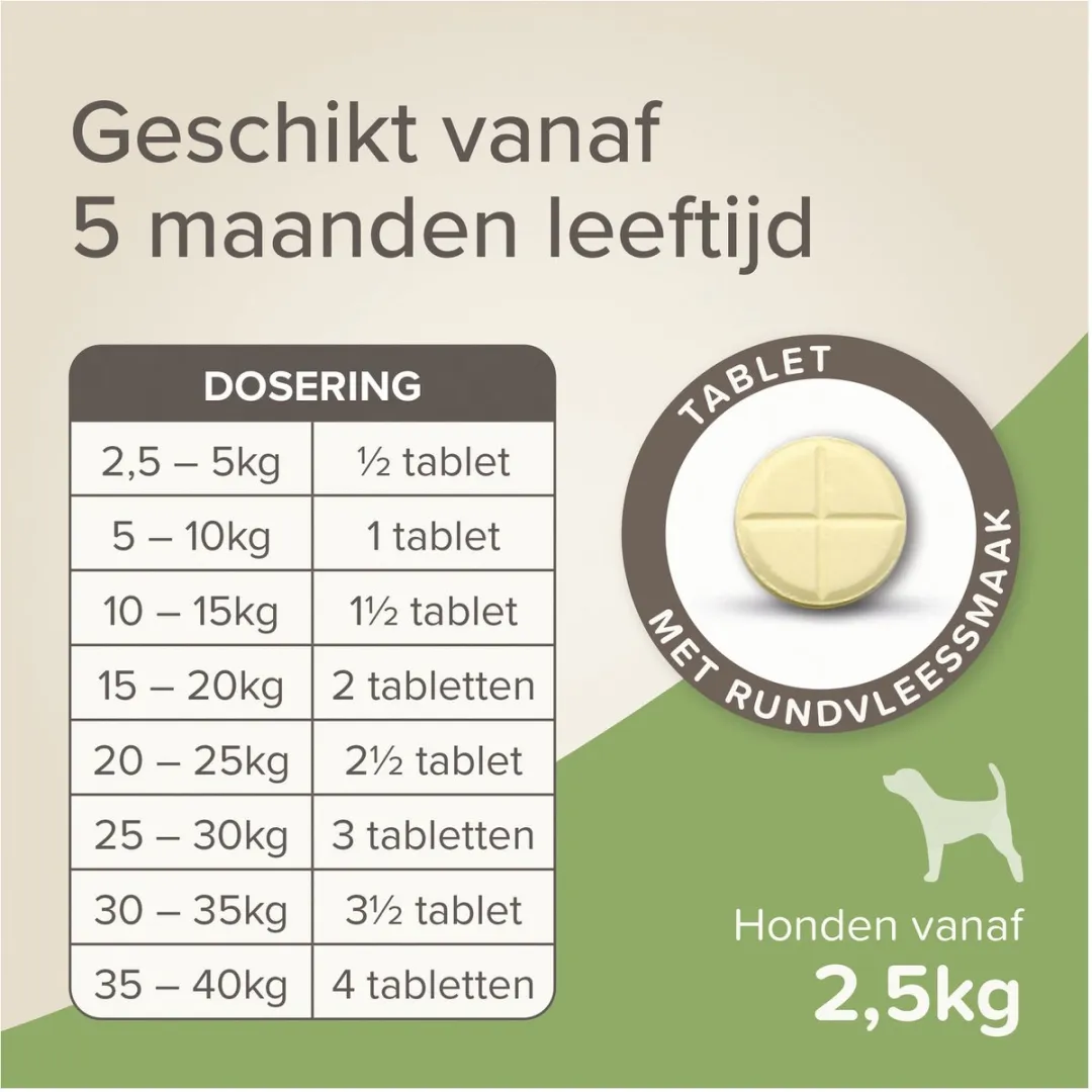 Beaphar All In One Ontwormingsmiddel - Hond 2.5-40 kg - 4 Tabletten