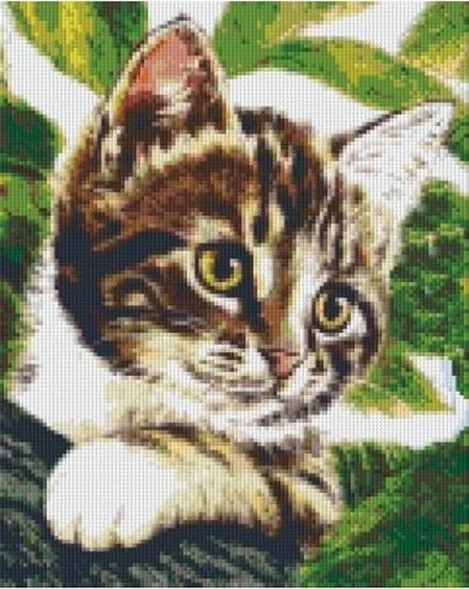 Pixelhobby Poes Geschenkverpakking - 3 Stuks - Multicolor