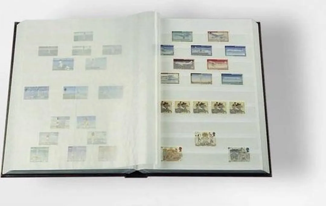 Leuchtturm Basic W16 Postzegelinsteekalbum