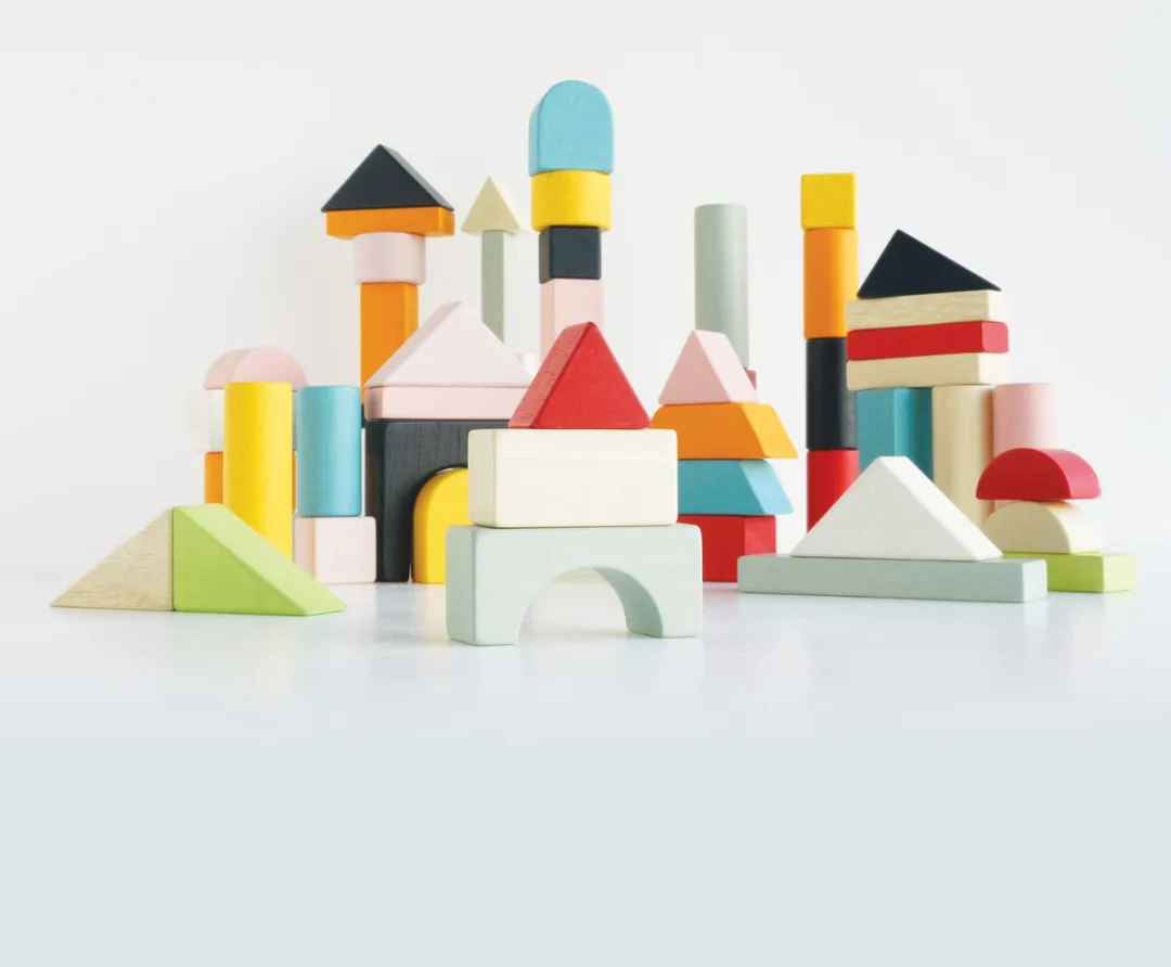 Le Toy Van Building Blocks & Tas PL135