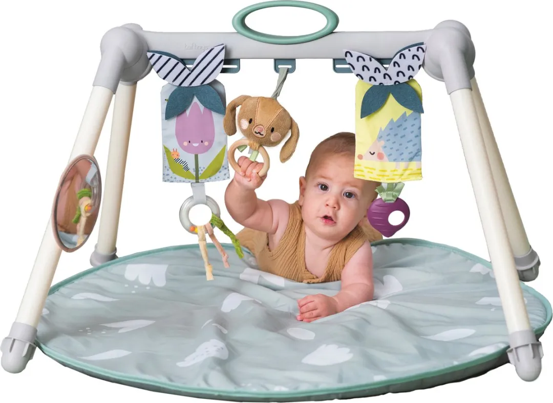 Taf Toys Urban Garden Foldable Gym Speelmat - 4 Speelelementen - Wit