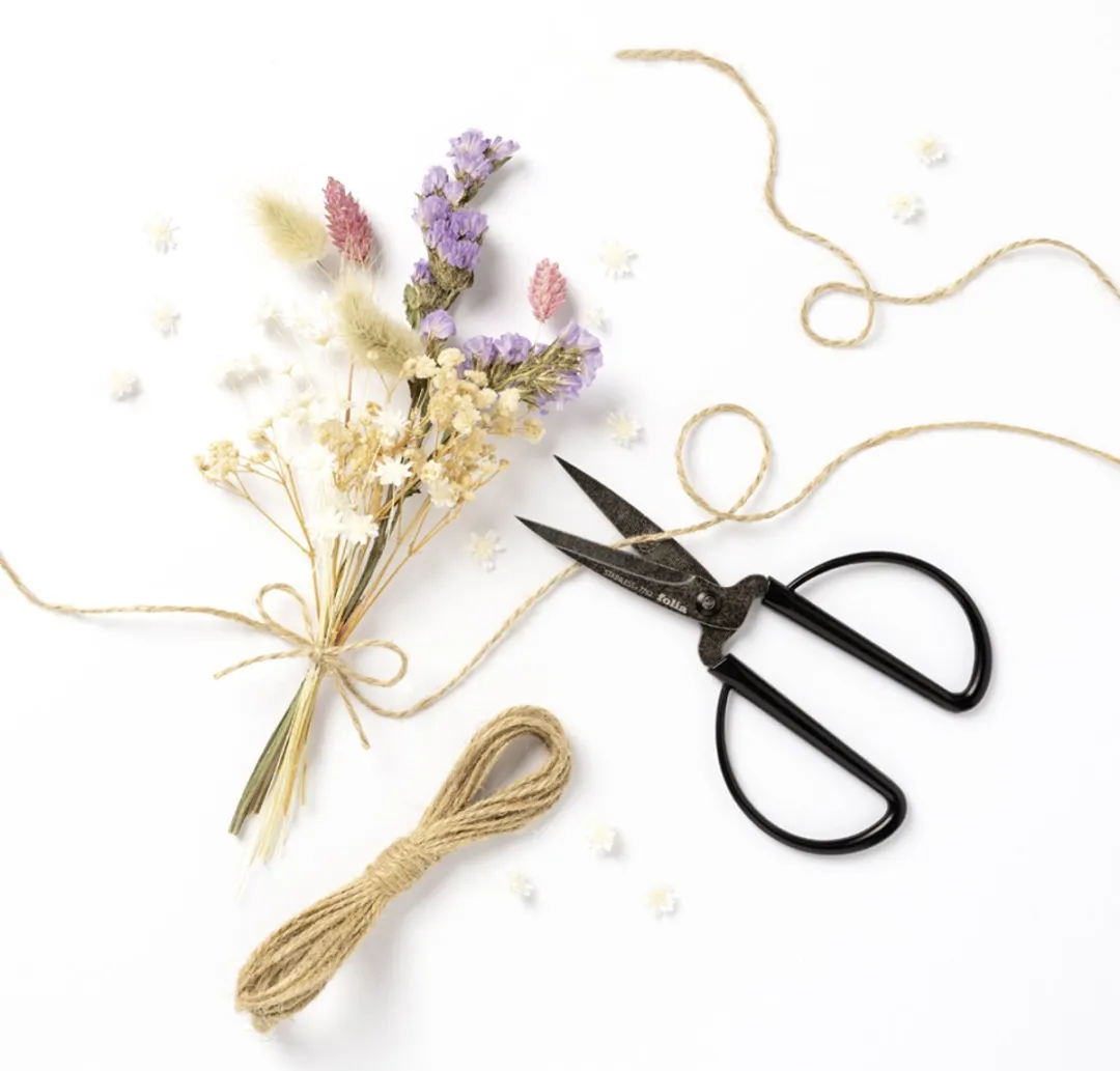 Folia Knutselschaar FT14 - 5cm - RVS - Goud