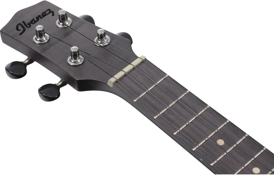 Ibanez UEW12E-BIF Black Ice Flat - Concert ukulele
