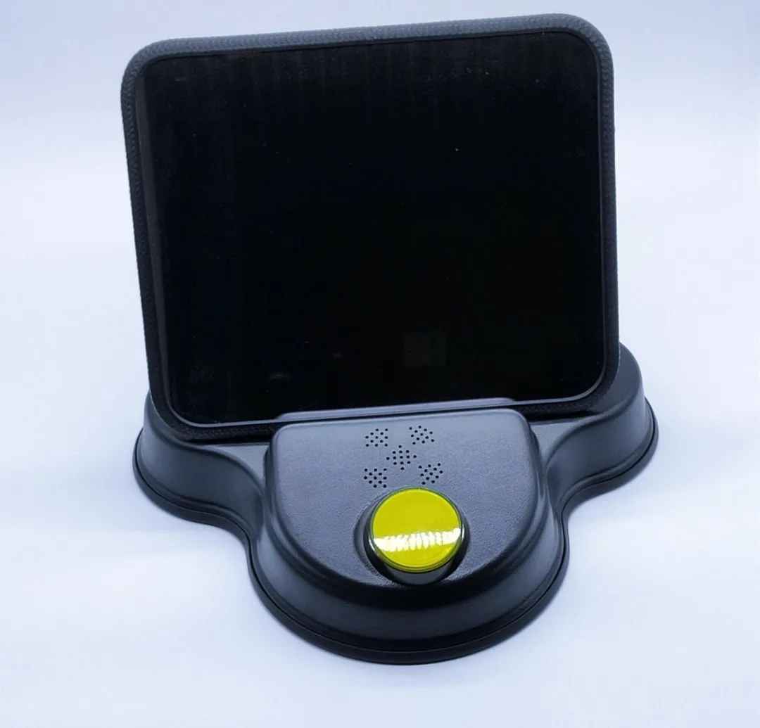 Eduplay Microfoon met spraakopname