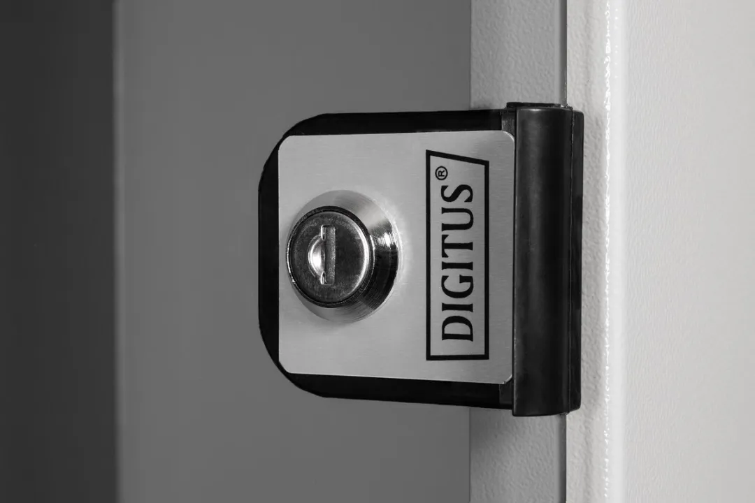 Digitus DN-49206 Wandkast 12 HE - 540x595x400mm Grijs