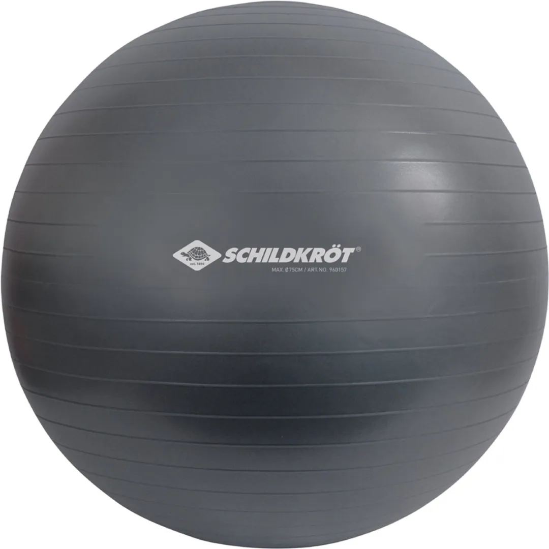 Schildkröt Gymnastiekbal 55cm - Multicolor