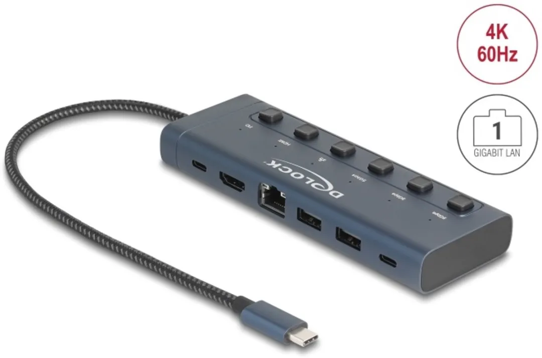 Delock USB Type-C Docking Station 92000 - 4K HDMI/USB/LAN - 90W PD - Blauw