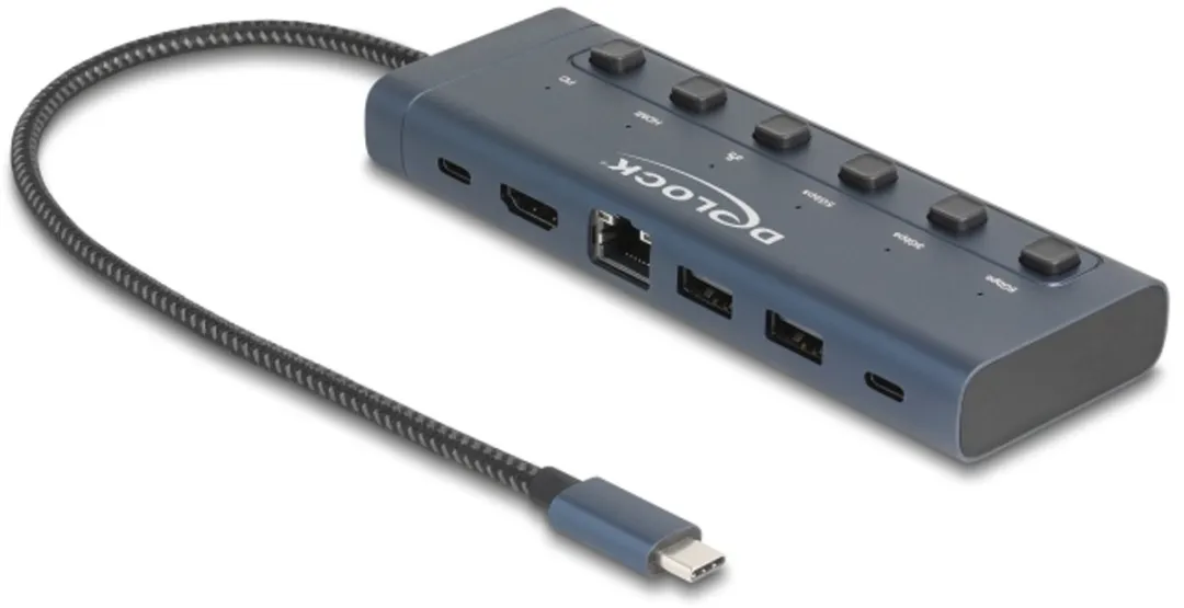 Delock USB Type-C Docking Station 92000