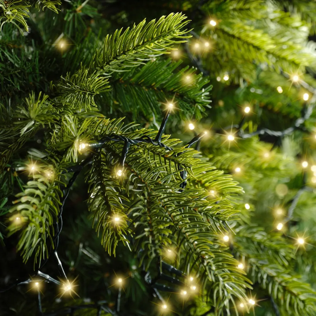 Lumineo LED Kerstverlichting Sprankeleffect 24m - Groen - Warm wit