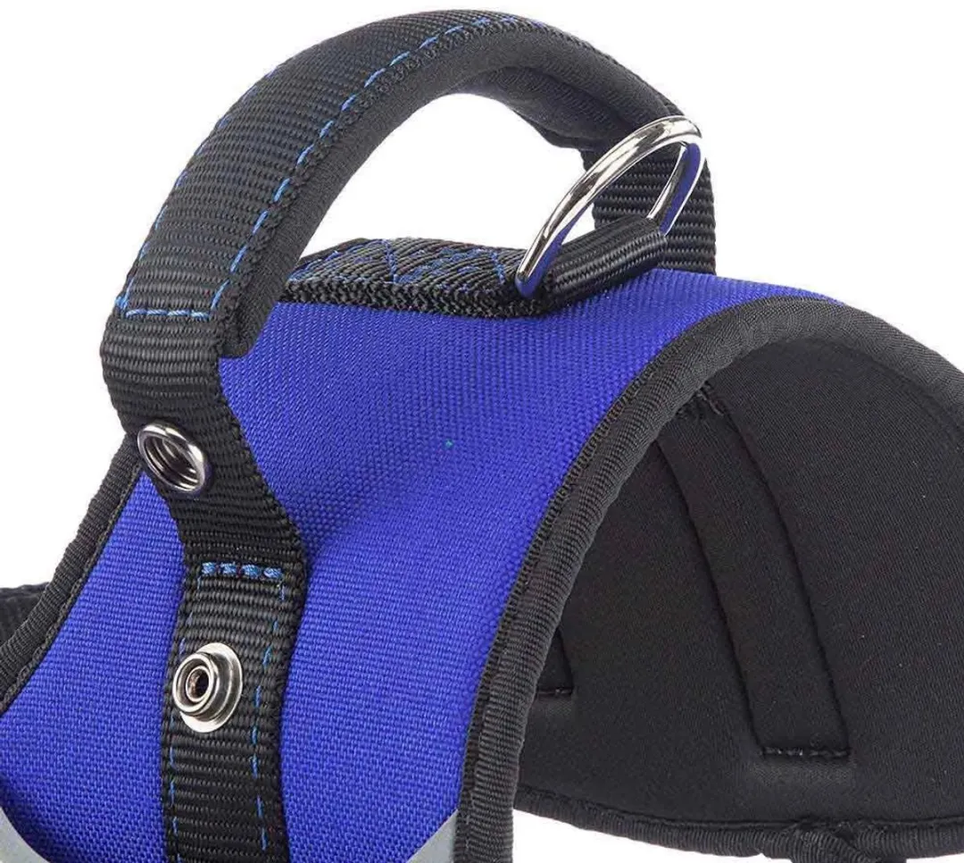 Ferplast Hercules Nylon Hondentuigje M - 43cm - Blauw