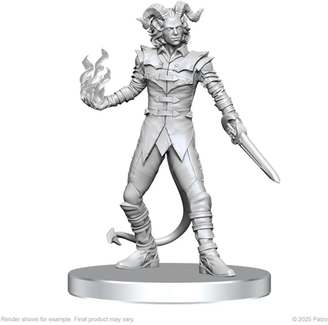 Wizkids Pathfinder Vordine & Pitborn Miniatures - WIZ90840 - Multicolor