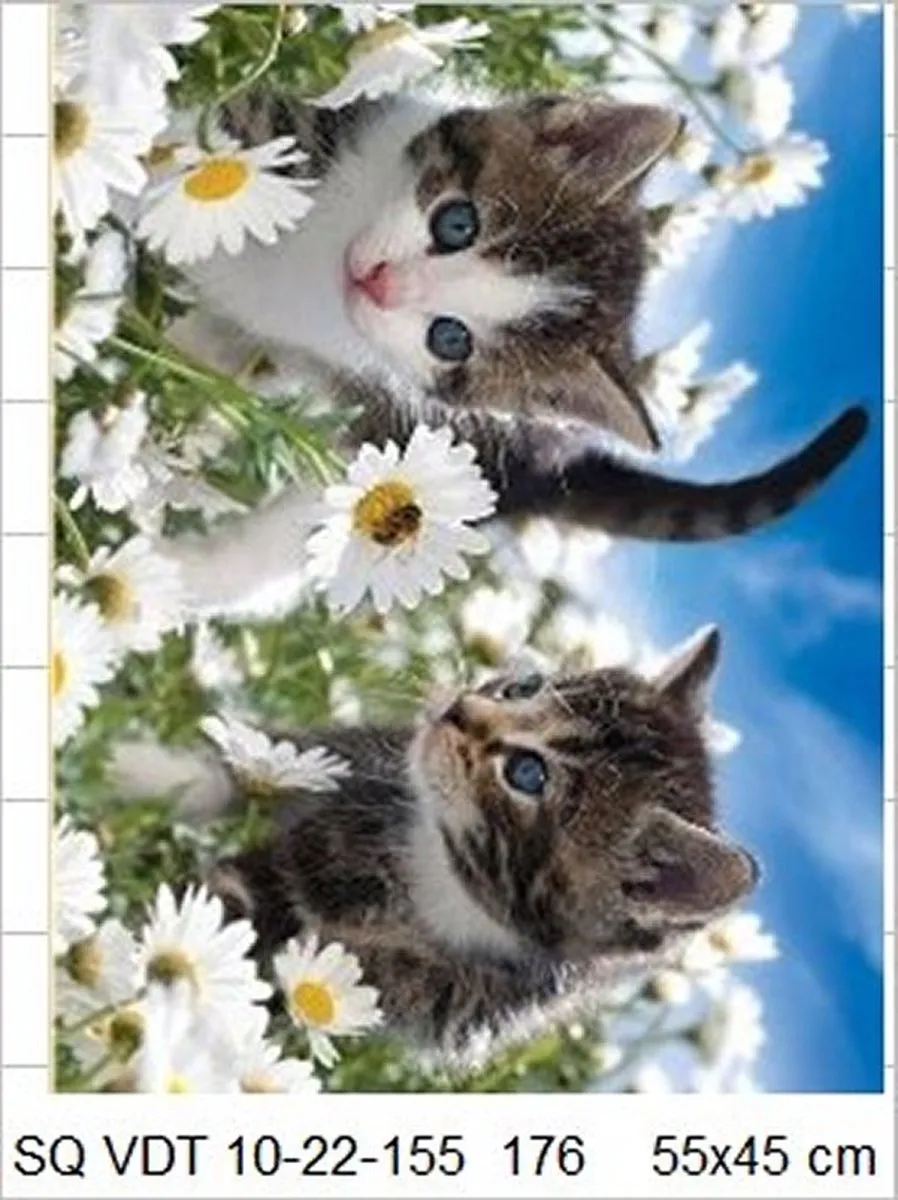 VDTOYS Diamond Painting VDT176 Perfect Kittens 2 - Groot 55x45cm