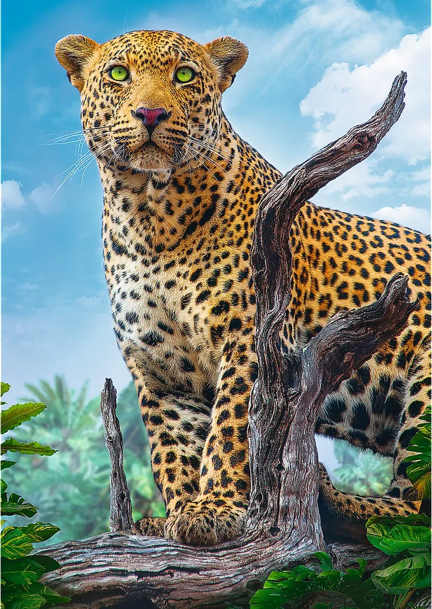 Trefl Wild Luipaard Puzzel 500 Stuks