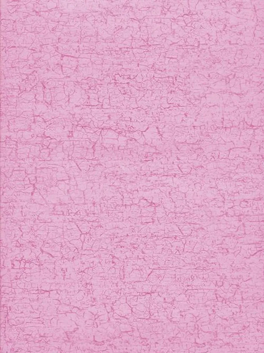 Clairefontaine FDA299O Kunst- & Knutselset Roze