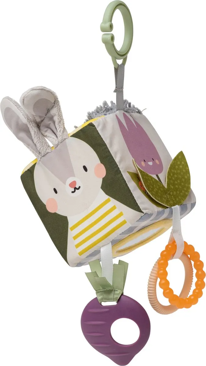 Taf Toys Urban Garden Activity Cube