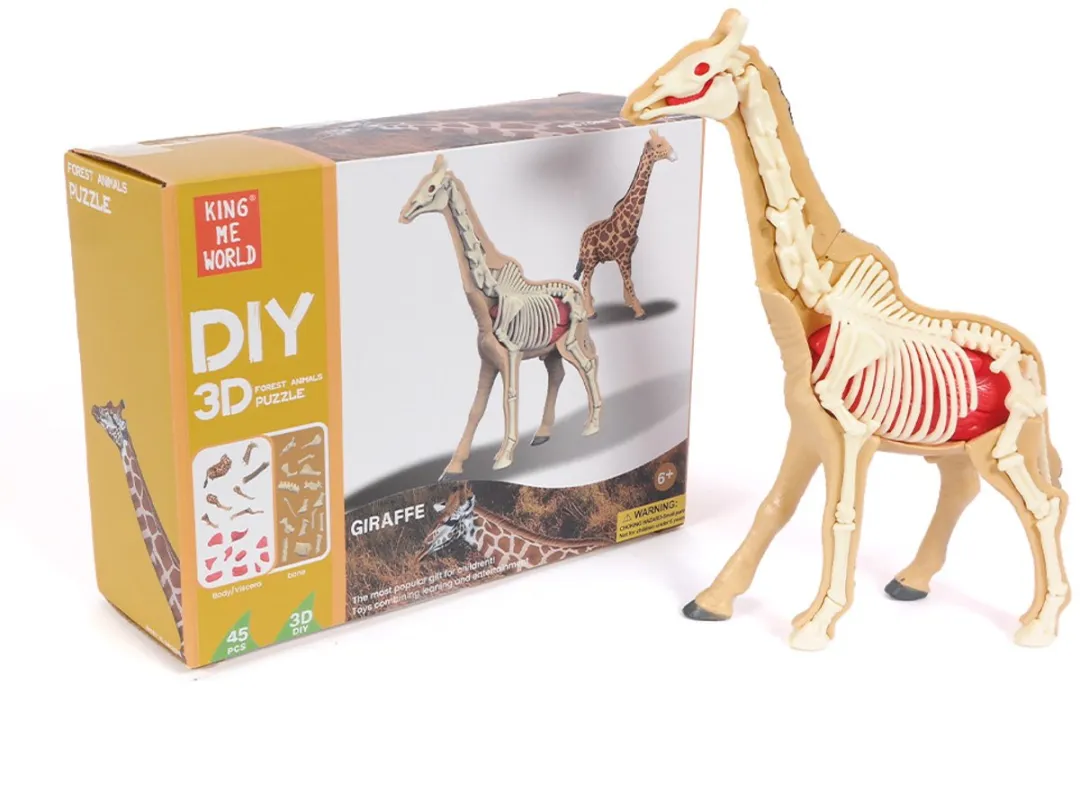 PIA Soft Toys 3D Anatomie Giraf