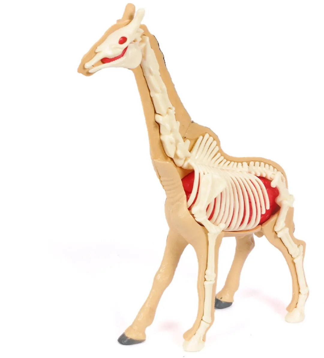 PIA Soft Toys 3D Anatomie Giraf - Beige