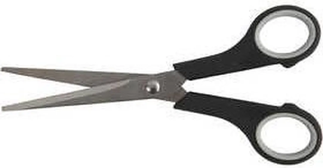 Creativ Company Algemene Schaar 17cm - Zwart