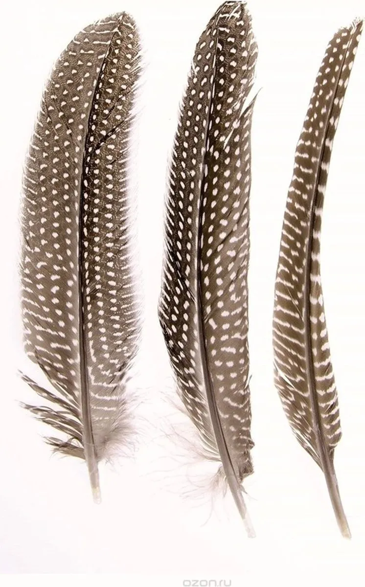 Glorex Hobby Parelhoen Sierveren