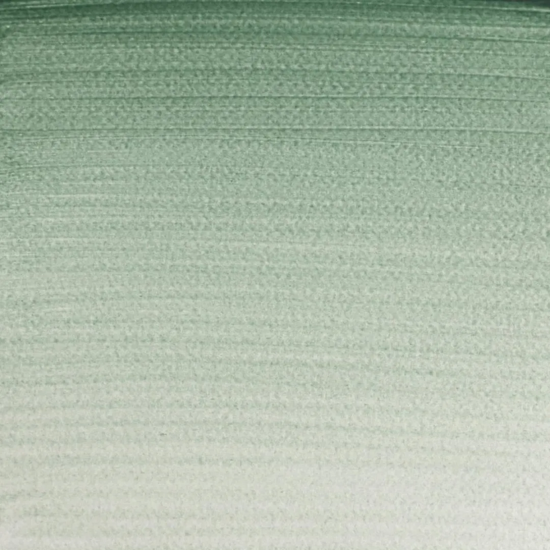 Winsor & Newton Terre Verte Aquarelverf 5ml