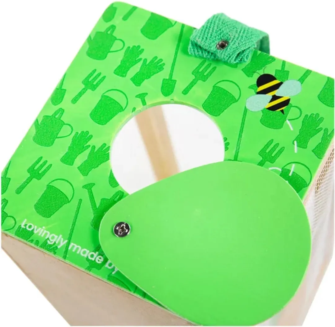BIGJIGS Bug Box - 4 Stuks - Groen/Beige