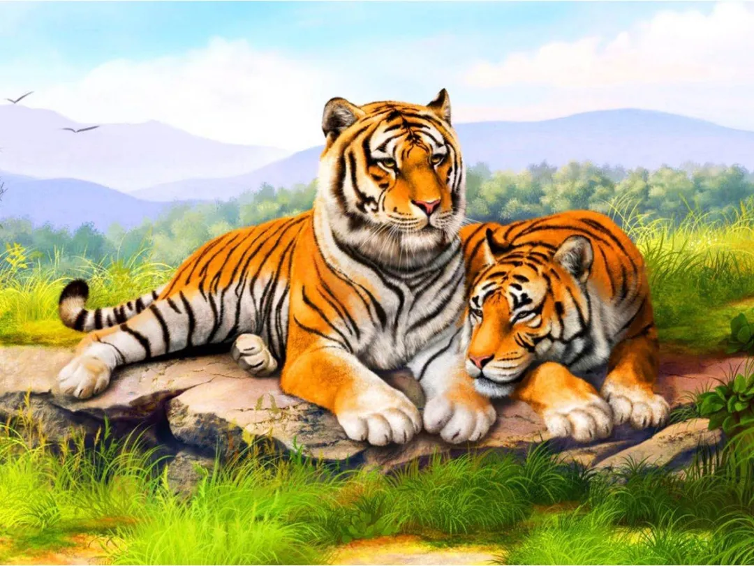 Toi-Toys Diamond Painting Tijger 40x50cm
