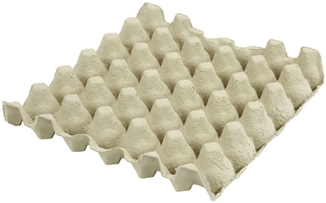 Creativ Company Kartonnen Knutsel Eiertray 29x29cm - 20 Stuks