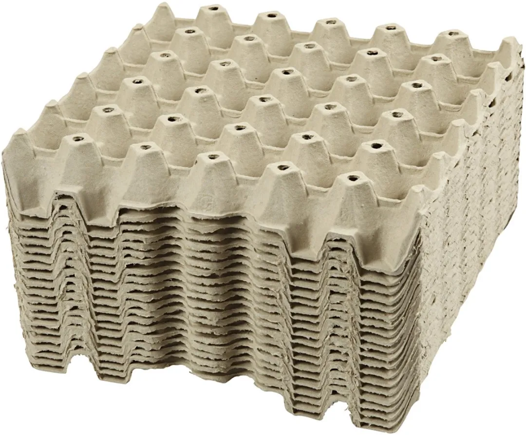Creativ Company Kartonnen Knutsel Eiertray 29x29cm - 20 Stuks