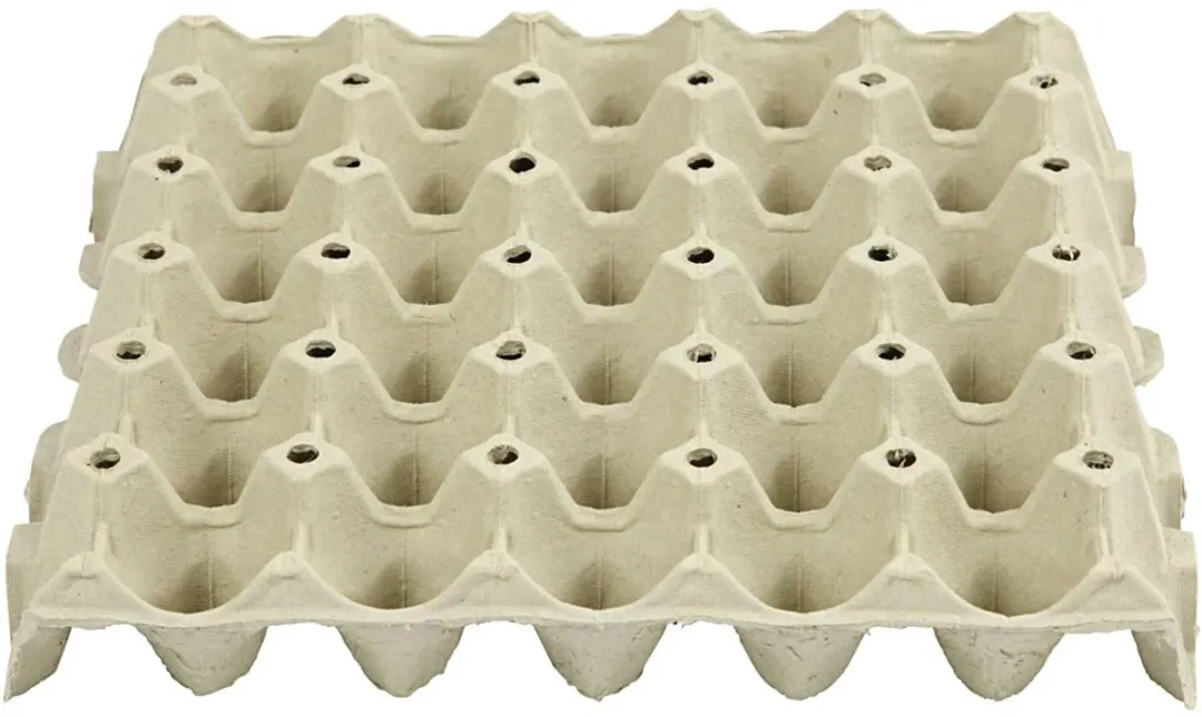 Creativ Company Kartonnen Knutsel Eiertray 29x29cm - 20 Stuks
