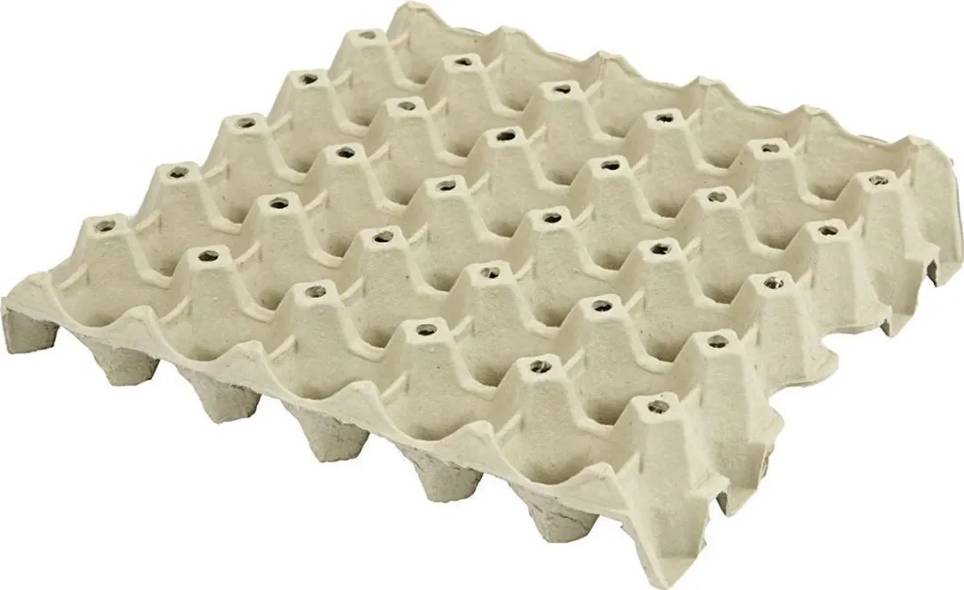Creativ Company Kartonnen Knutsel Eiertray 29x29cm