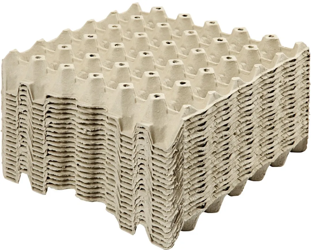 Creativ Company Kartonnen Knutsel Eiertray 29x29cm - 20 Stuks