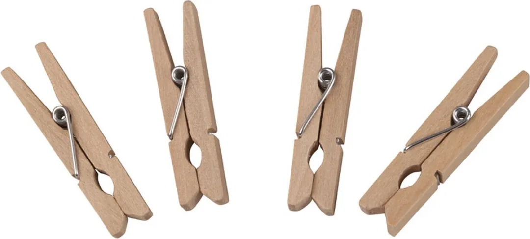 Rayher Hobby Mini Wasknijpers 24 Stuks - Bruin