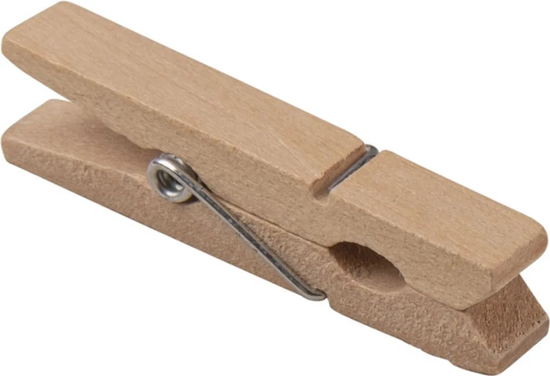 Rayher Hobby Mini Wasknijpers 24 Stuks - Bruin