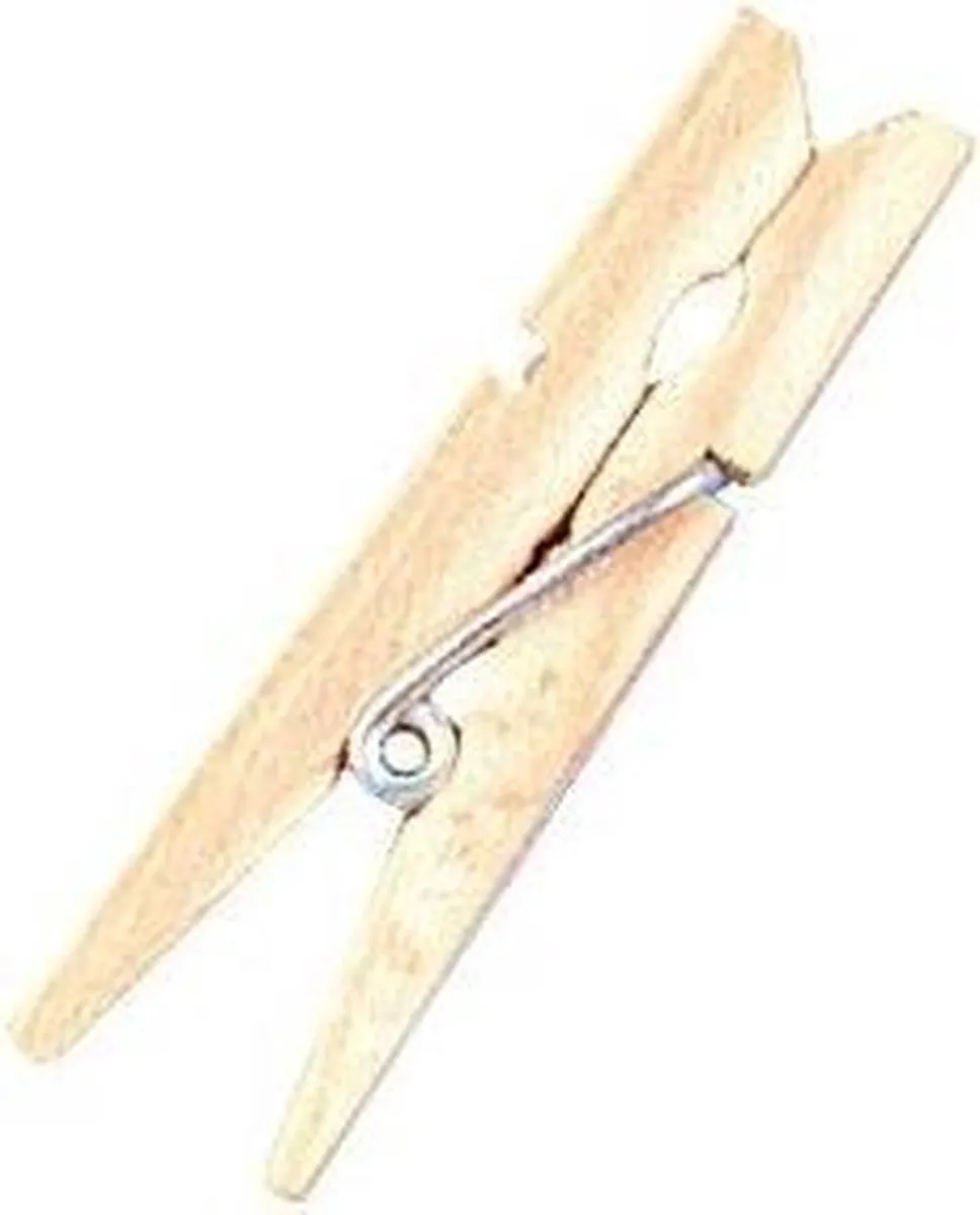 Rayher Hobby Mini Wasknijpers 24 Stuks - Bruin