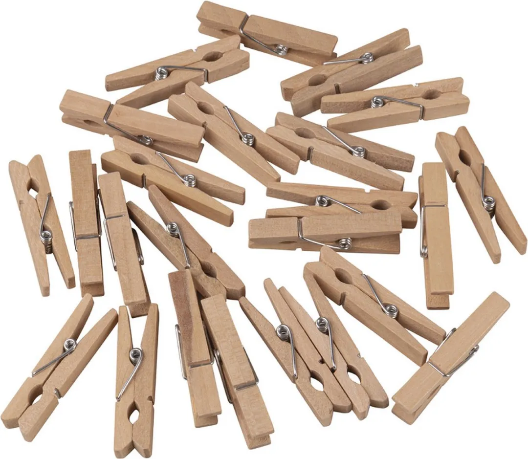Rayher Hobby Mini Wasknijpers 24 Stuks